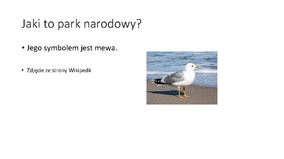 Jaki to park narodowy? • Jego symbolem jest mewa. • Zdjęcie ze strony Wikipedii