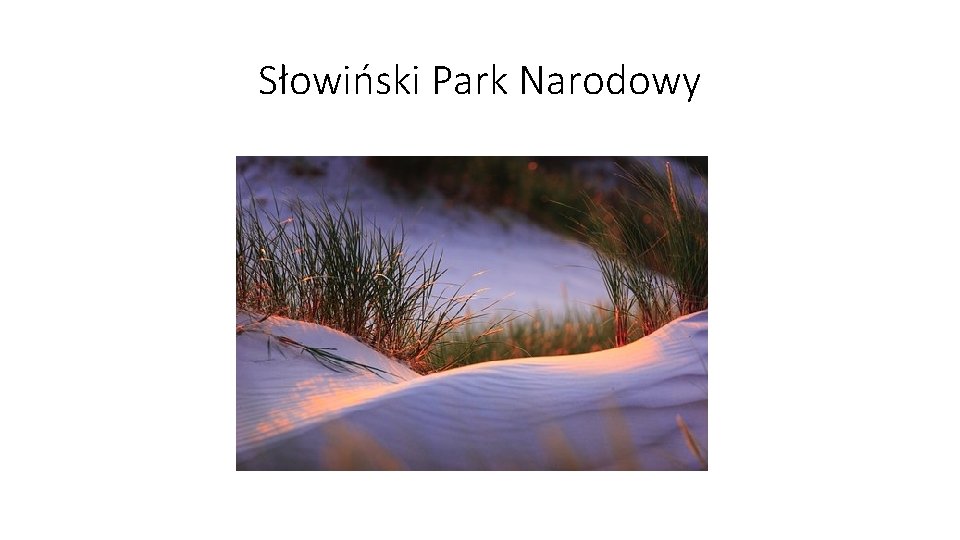 Słowiński Park Narodowy 
