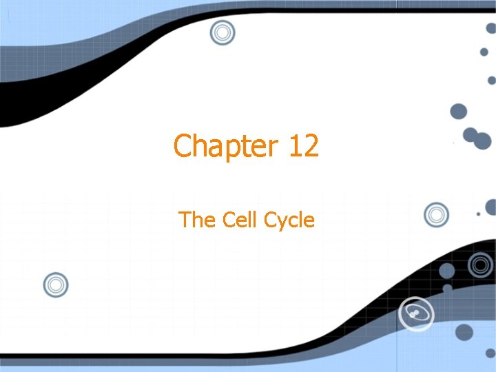 Chapter 12 The Cell Cycle 