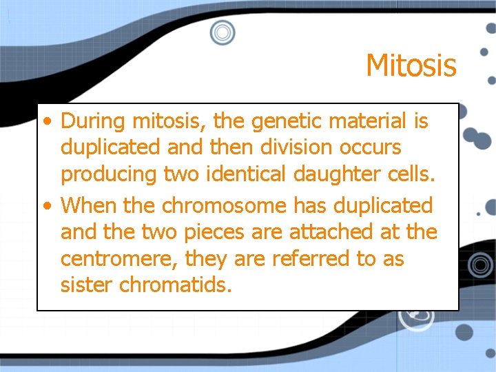 Mitosis • During mitosis, the genetic material is duplicated and then division occurs producing