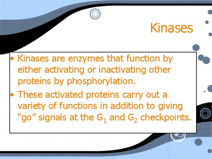 Kinases • Kinases are enzymes that function by either activating or inactivating other proteins