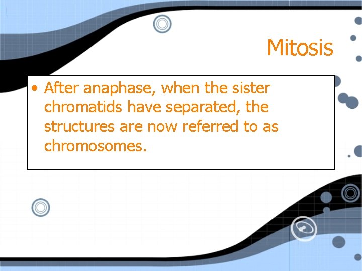 Mitosis • After anaphase, when the sister chromatids have separated, the structures are now