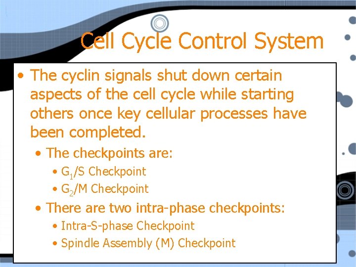 Cell Cycle Control System • The cyclin signals shut down certain aspects of the