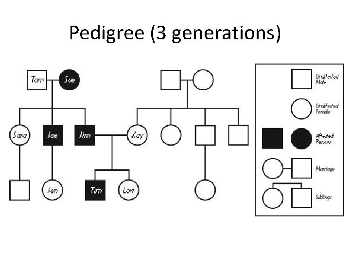 Chapter 10 1 and 12 Intro to Genetics