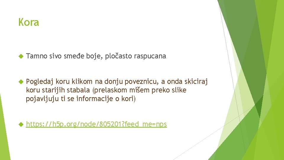 Kora Tamno sivo smeđe boje, pločasto raspucana Pogledaj koru klikom na donju poveznicu, a