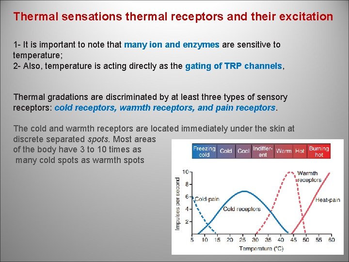 Thermal sensations thermal receptors and their excitation 1 - It is important to note