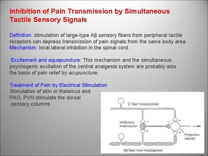 Inhibition of Pain Transmission by Simultaneous Tactile Sensory Signals Definition: stimulation of large-type Aβ