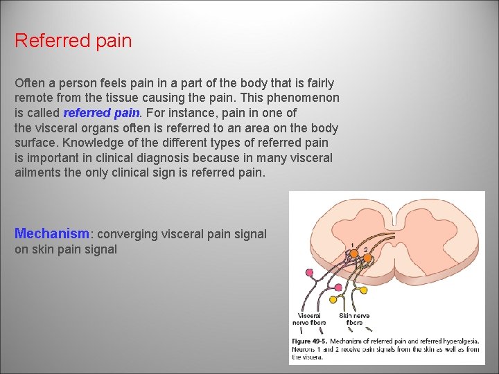 Referred pain Often a person feels pain in a part of the body that