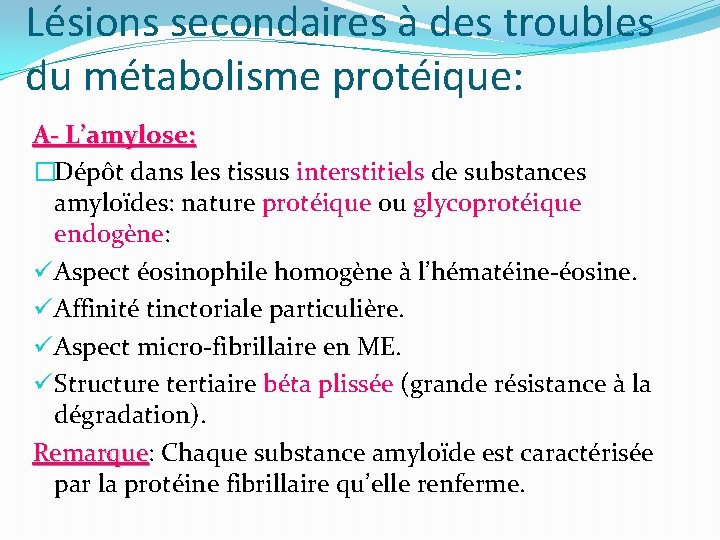 Lésions secondaires à des troubles du métabolisme protéique: A- L’amylose: �Dépôt dans les tissus