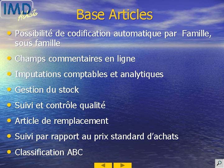 Base Articles • Possibilité de codification automatique par Famille, sous famille • Champs commentaires