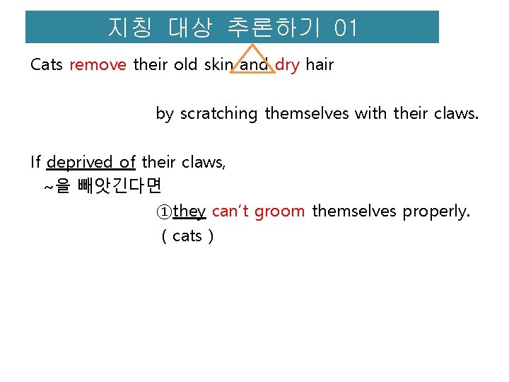 지칭 대상 추론하기 01 Cats remove their old skin and dry hair by scratching