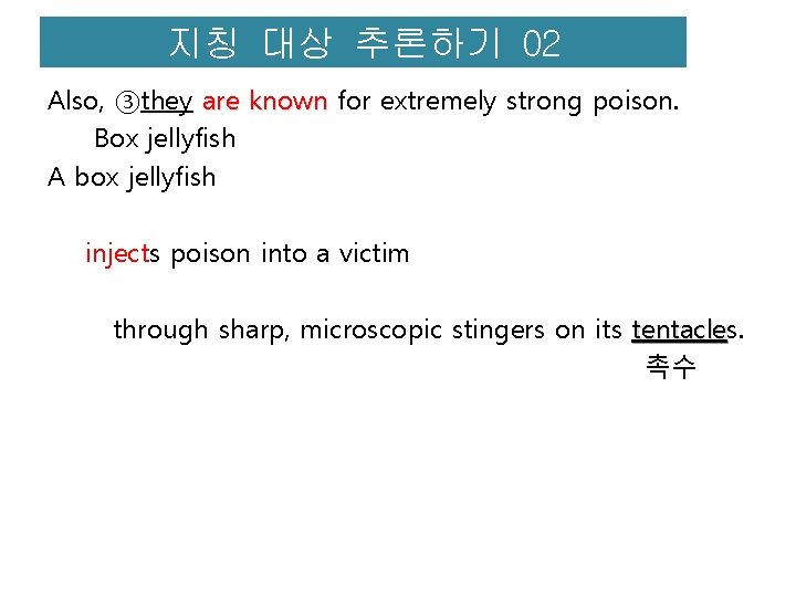 지칭 대상 추론하기 02 Also, ③they are known for extremely strong poison. Box jellyfish