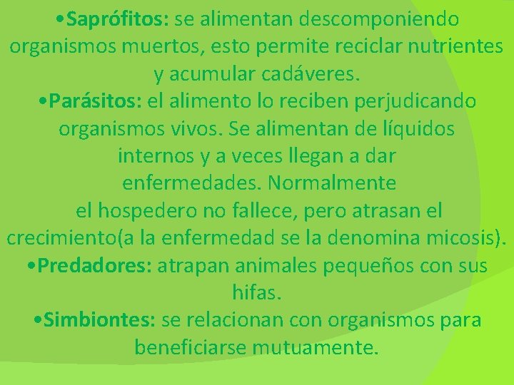  • Saprófitos: se alimentan descomponiendo organismos muertos, esto permite reciclar nutrientes y acumular