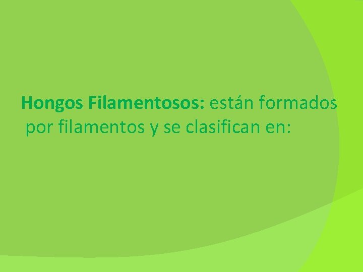 Hongos Filamentosos: están formados por filamentos y se clasifican en: 