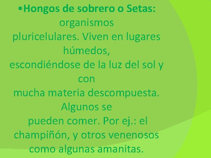  • Hongos de sobrero o Setas: organismos pluricelulares. Viven en lugares húmedos, escondiéndose