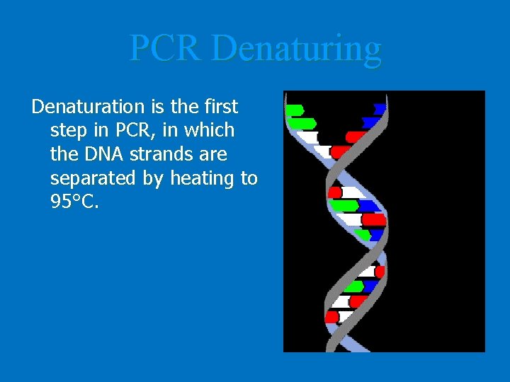 PCR Denaturing Denaturation is the first step in PCR, in which the DNA strands