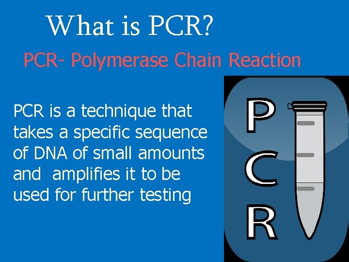 What is PCR? PCR- Polymerase Chain Reaction PCR is a technique that takes a