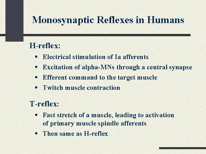 Monosynaptic Reflexes in Humans H-reflex: § § Electrical stimulation of Ia afferents Excitation of Monosynaptic Reflexes in Humans H-reflex: § § Electrical stimulation of Ia afferents Excitation of