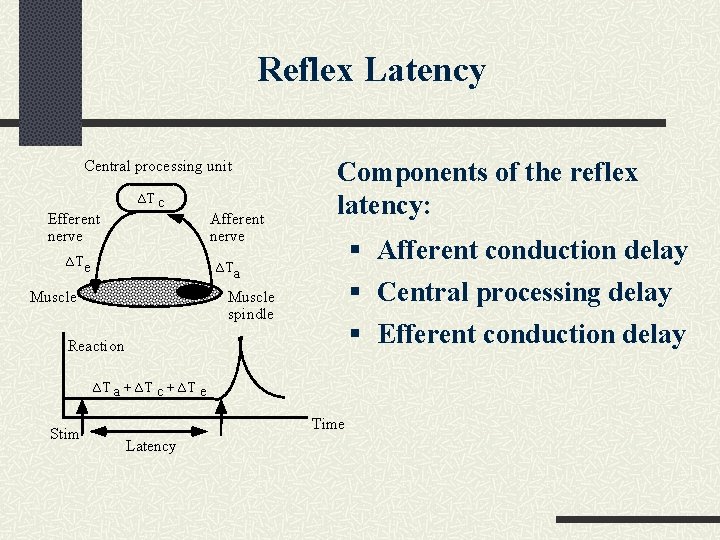 Reflex Latency Central processing unit Efferent nerve ∆T c ∆T e Afferent nerve Components Reflex Latency Central processing unit Efferent nerve ∆T c ∆T e Afferent nerve Components