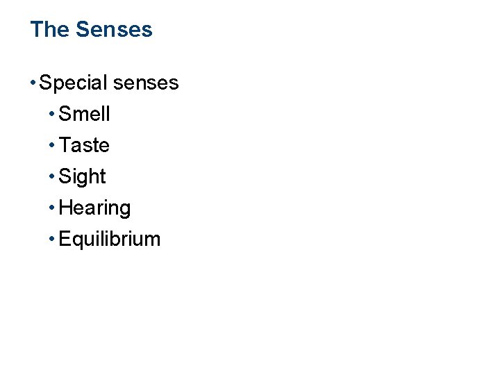 The Senses • Special senses • Smell • Taste • Sight • Hearing • The Senses • Special senses • Smell • Taste • Sight • Hearing •
