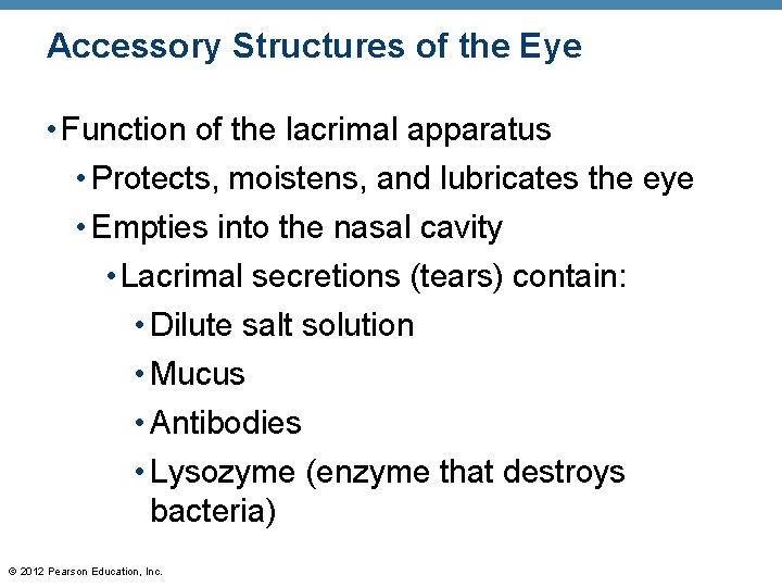 Accessory Structures of the Eye • Function of the lacrimal apparatus • Protects, moistens, Accessory Structures of the Eye • Function of the lacrimal apparatus • Protects, moistens,