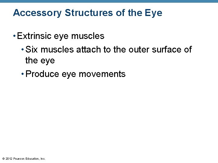 Accessory Structures of the Eye • Extrinsic eye muscles • Six muscles attach to Accessory Structures of the Eye • Extrinsic eye muscles • Six muscles attach to