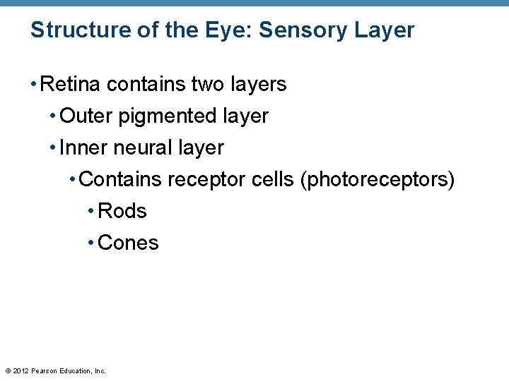 Structure of the Eye: Sensory Layer • Retina contains two layers • Outer pigmented Structure of the Eye: Sensory Layer • Retina contains two layers • Outer pigmented