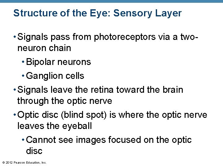 Structure of the Eye: Sensory Layer • Signals pass from photoreceptors via a twoneuron Structure of the Eye: Sensory Layer • Signals pass from photoreceptors via a twoneuron