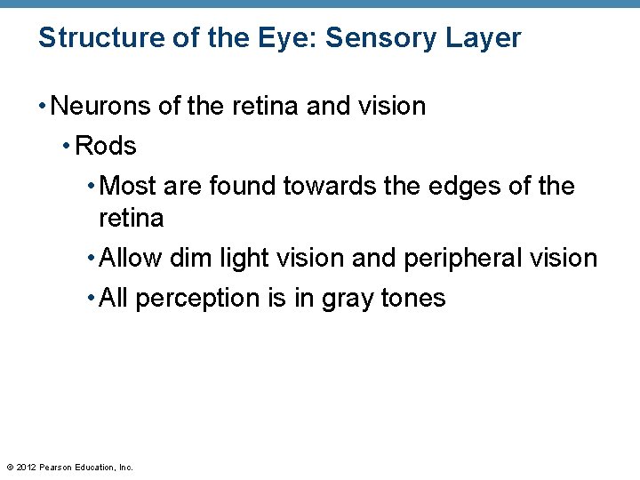 Structure of the Eye: Sensory Layer • Neurons of the retina and vision • Structure of the Eye: Sensory Layer • Neurons of the retina and vision •