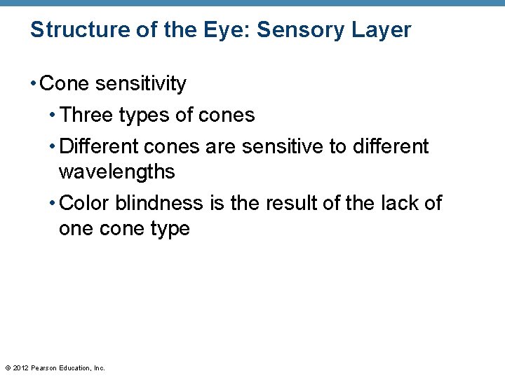 Structure of the Eye: Sensory Layer • Cone sensitivity • Three types of cones Structure of the Eye: Sensory Layer • Cone sensitivity • Three types of cones