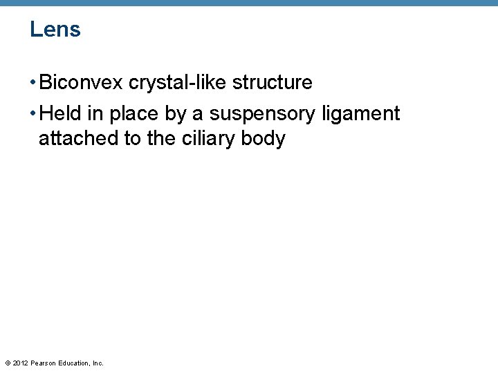 Lens • Biconvex crystal-like structure • Held in place by a suspensory ligament attached Lens • Biconvex crystal-like structure • Held in place by a suspensory ligament attached