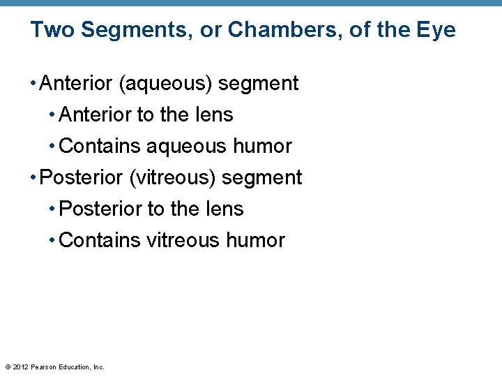 Two Segments, or Chambers, of the Eye • Anterior (aqueous) segment • Anterior to Two Segments, or Chambers, of the Eye • Anterior (aqueous) segment • Anterior to