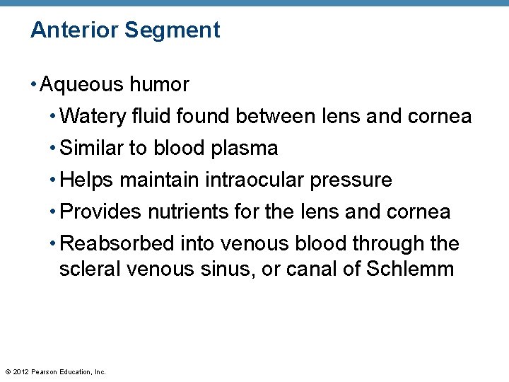 Anterior Segment • Aqueous humor • Watery fluid found between lens and cornea • Anterior Segment • Aqueous humor • Watery fluid found between lens and cornea •