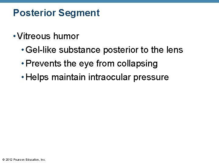 Posterior Segment • Vitreous humor • Gel-like substance posterior to the lens • Prevents Posterior Segment • Vitreous humor • Gel-like substance posterior to the lens • Prevents