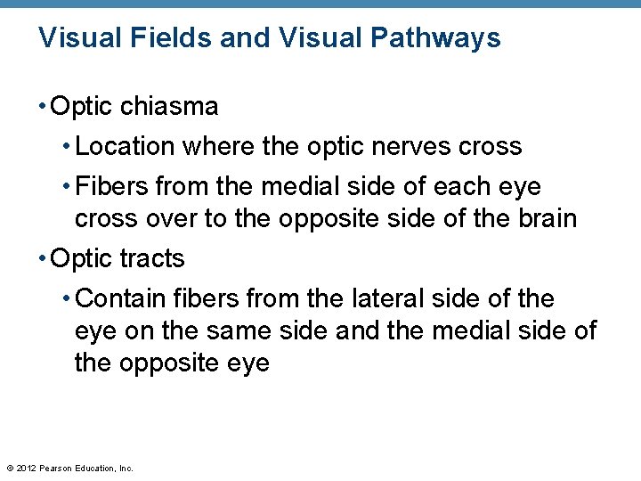 Visual Fields and Visual Pathways • Optic chiasma • Location where the optic nerves Visual Fields and Visual Pathways • Optic chiasma • Location where the optic nerves