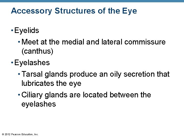 Accessory Structures of the Eye • Eyelids • Meet at the medial and lateral Accessory Structures of the Eye • Eyelids • Meet at the medial and lateral