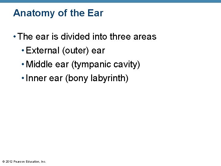 Anatomy of the Ear • The ear is divided into three areas • External Anatomy of the Ear • The ear is divided into three areas • External