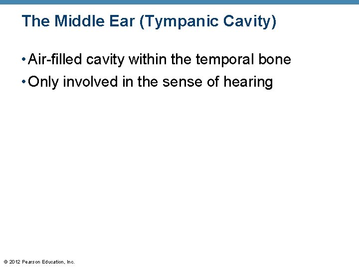 The Middle Ear (Tympanic Cavity) • Air-filled cavity within the temporal bone • Only The Middle Ear (Tympanic Cavity) • Air-filled cavity within the temporal bone • Only