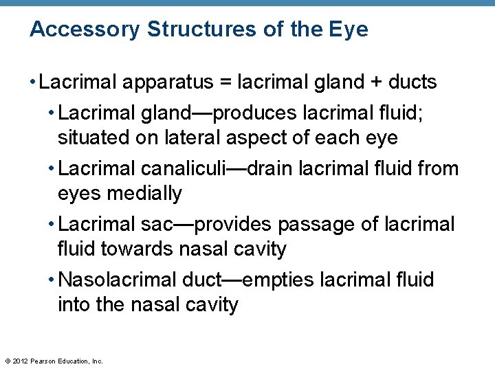 Accessory Structures of the Eye • Lacrimal apparatus = lacrimal gland + ducts • Accessory Structures of the Eye • Lacrimal apparatus = lacrimal gland + ducts •