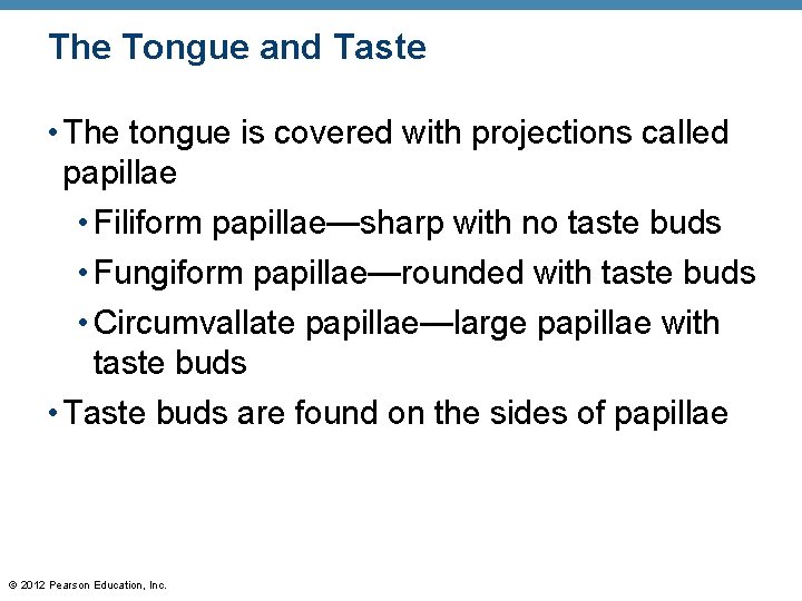 The Tongue and Taste • The tongue is covered with projections called papillae • The Tongue and Taste • The tongue is covered with projections called papillae •