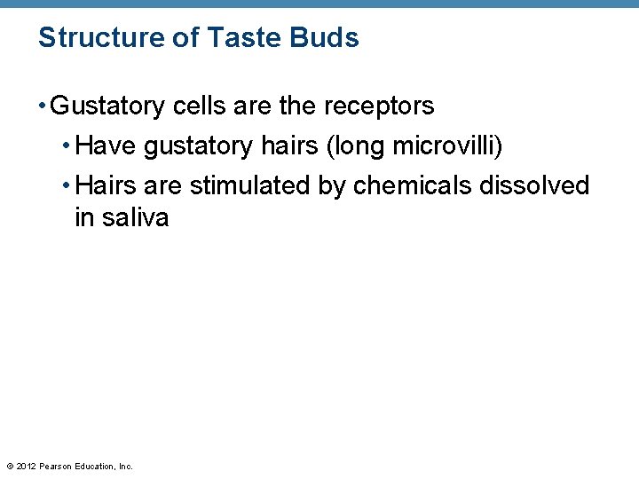 Structure of Taste Buds • Gustatory cells are the receptors • Have gustatory hairs Structure of Taste Buds • Gustatory cells are the receptors • Have gustatory hairs