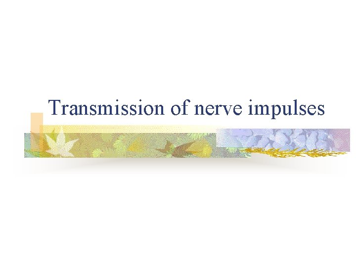 Transmission of nerve impulses 
