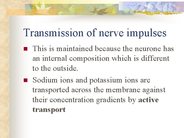 Transmission of nerve impulses n n This is maintained because the neurone has an