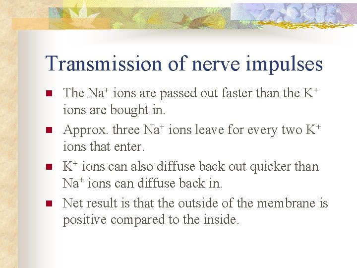 Transmission of nerve impulses n n The Na+ ions are passed out faster than