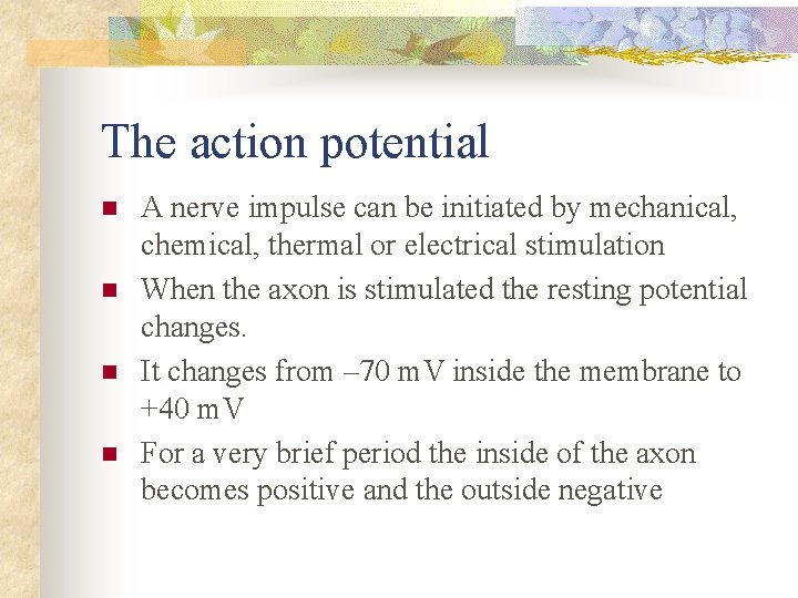 The action potential n n A nerve impulse can be initiated by mechanical, chemical,