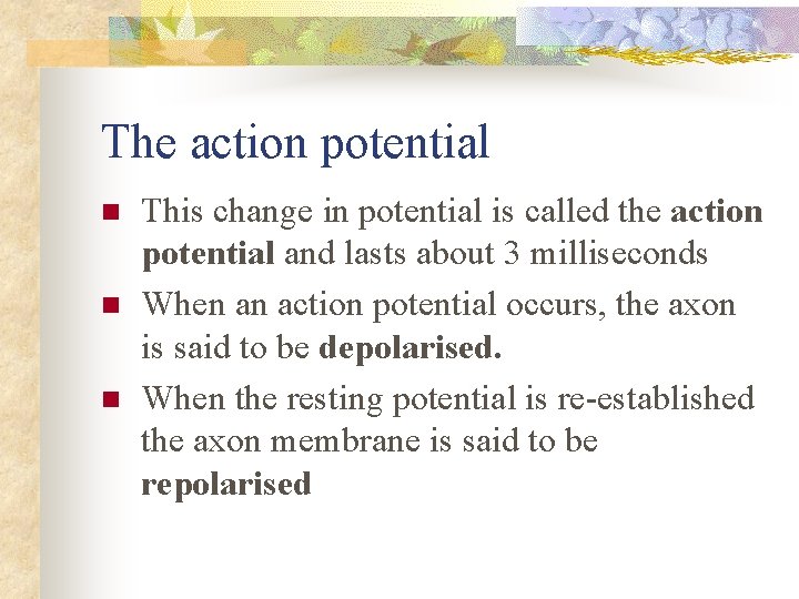 The action potential n n n This change in potential is called the action