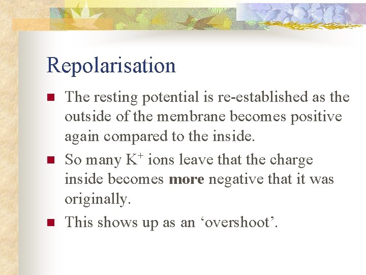 Repolarisation n The resting potential is re-established as the outside of the membrane becomes