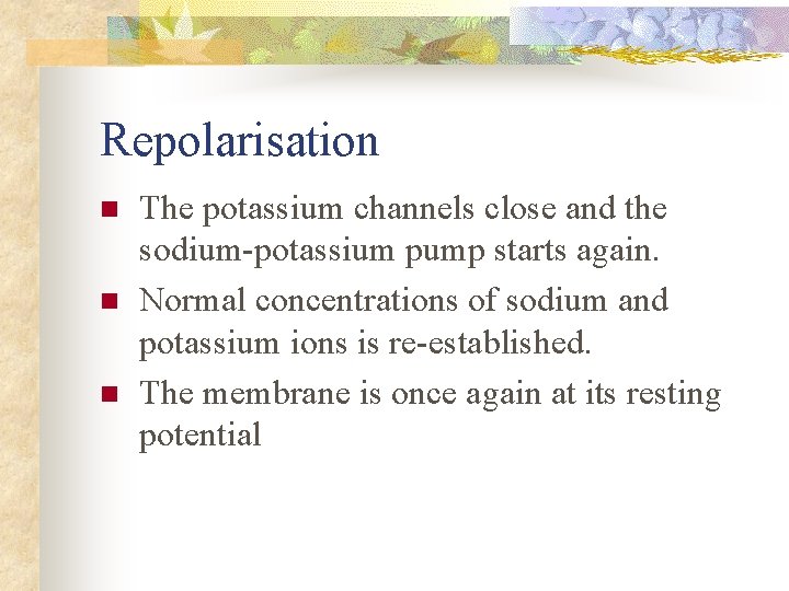 Repolarisation n The potassium channels close and the sodium-potassium pump starts again. Normal concentrations
