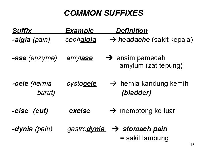 COMMON SUFFIXES Suffix -algia (pain) Example cephalgia -ase (enzyme) amylase -cele (hernia, burut) cystocele