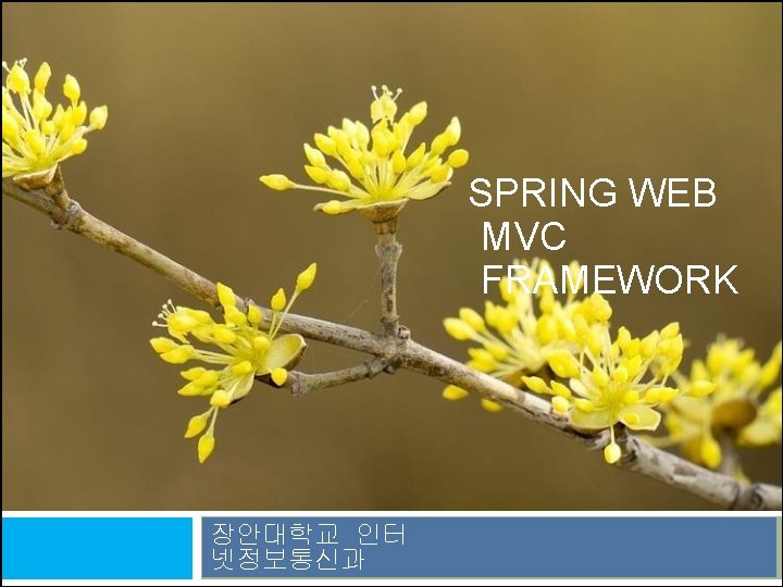 SPRING WEB MVC FRAMEWORK 장안대학교 인터 넷정보통신과 